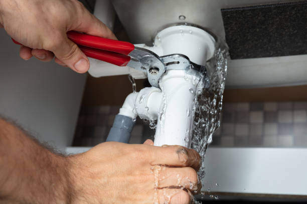 Best Flooded house restoration  in Round Lake, IL