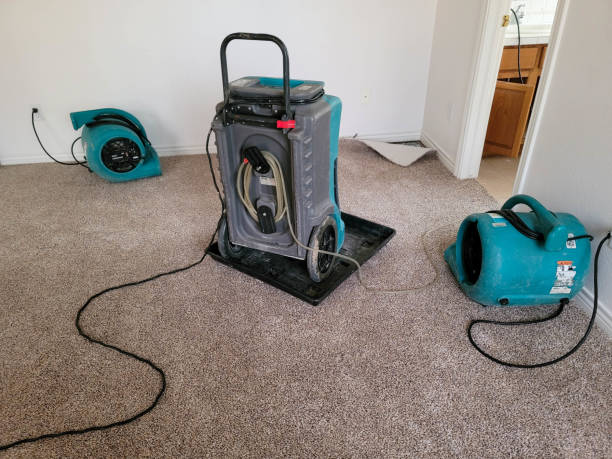 Best Water damage contractors near me  in Round Lake, IL