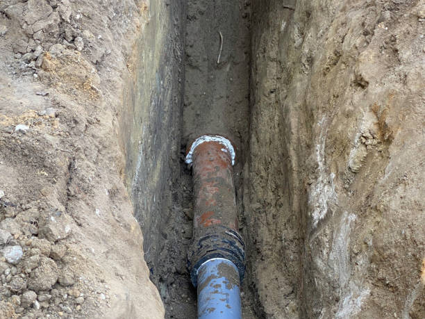 Best Local water damage restoration  in Round Lake, IL