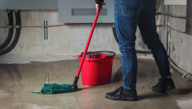 Best Water damage restoration near me  in Round Lake, IL