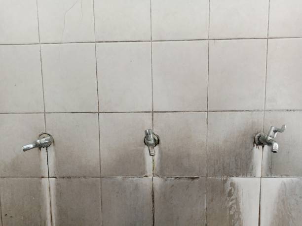 Best Water damage restoration mold remediation  in Round Lake, IL