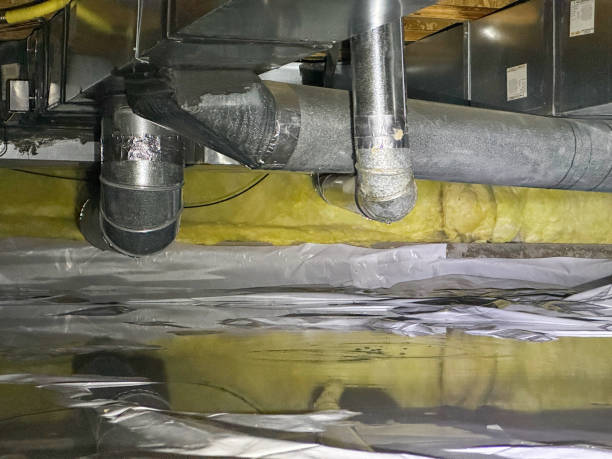 Best Commercial water damage restoration  in Round Lake, IL