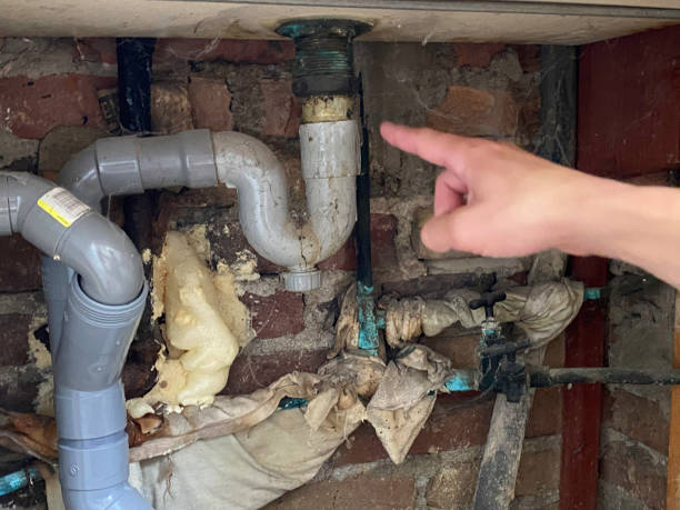 Best Flood damage cleanup  in Round Lake, IL