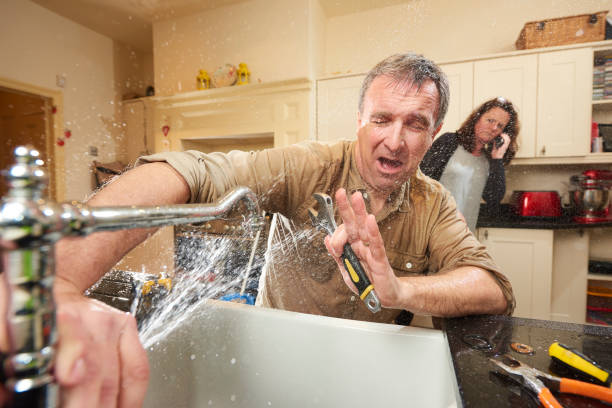 Best Carpet water damage restoration  in Round Lake, IL